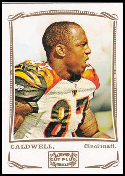 13 Andre Caldwell